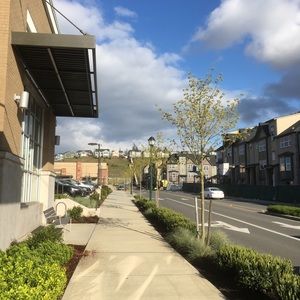 Meet your Posher, Terrence